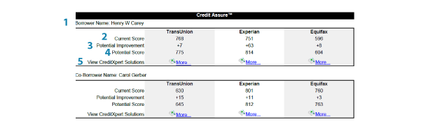 Credit Score Assure