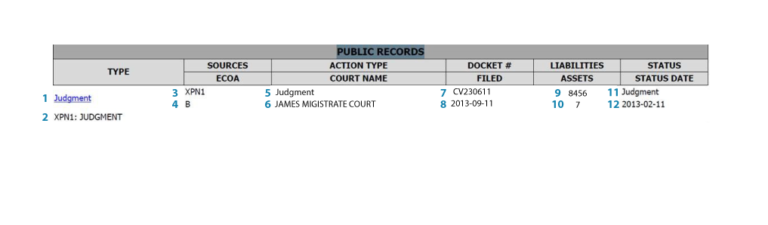 Public Record