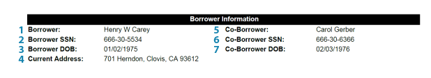 Borrower Information